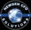 NextGen CFO Solutions